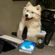 骚扰全世界的大骚龙