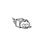 猫粮满上满上