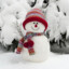 Harry_Svarta