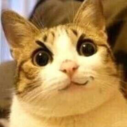 ☣(つˉ 3ˉ)づ ❤～喵ฅ