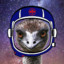 Celestial Emu