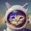 kat &lt;3