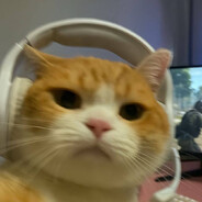 ZuZi - steam id 76561198191776158