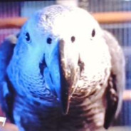 Koskenpään Keisari