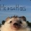 HedgeHog