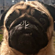 я ебу твою мать