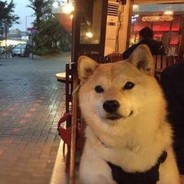 小心漂亮的女人