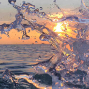 失去着的拥有77