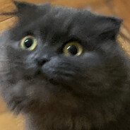 stepanovuch112 - steam id 76561199572666456