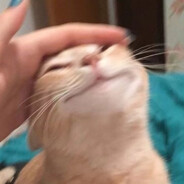 我不要啊啊啊啊啊