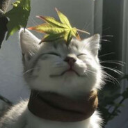 posanadam2