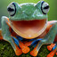 the helpful frog