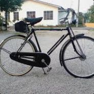 KY.KucingBersayap.v3