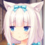 commander_w