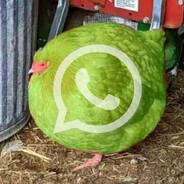whatsapp 3