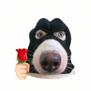 无敌暴龙兽战士