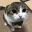 Prota's avatar