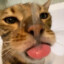 CattGaming