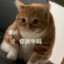 彼阳的晚意