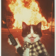 凌晨三点偷喝酒