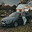 ♕Twardowski_2005♕