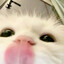 Rying