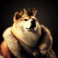 King Doge