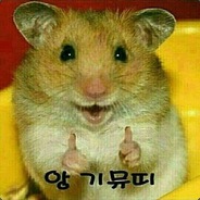 곰실