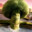 stdn CSGOSKINS