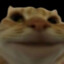 NosokBobra