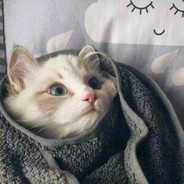 碎冰碰壁叮当响