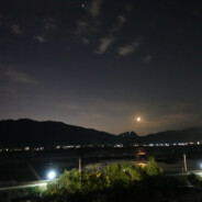 再盗号戴你拿概杯