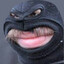 РОБИН ЛУД