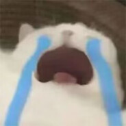 麻省理工社社长