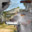 Deagle Rat