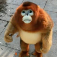 alexthebaconman