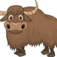 Yak