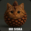 MR. Siska