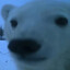 WhiteBear