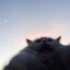 Bablgum_0303