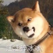 王牌机师达因斯尼夫