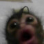 MEOW | Grubbler