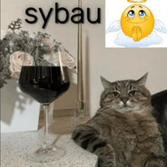 sh1ndo - steam id 76561199494745718