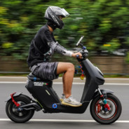 我真是一个幸运鹅