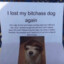 I lost my dog