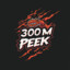 300M-PEEK