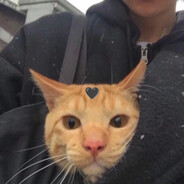 渔夫不钓鱼