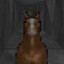 galloping white boy