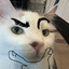 Koda