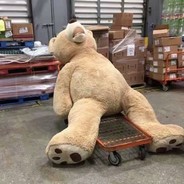 Tomorrowtodayestoday